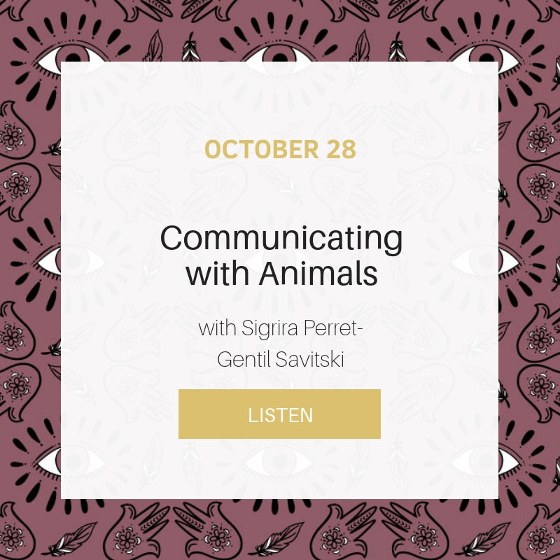 Sunday School: Communications with Animals with Sigrira Perret-Gentil Savitski