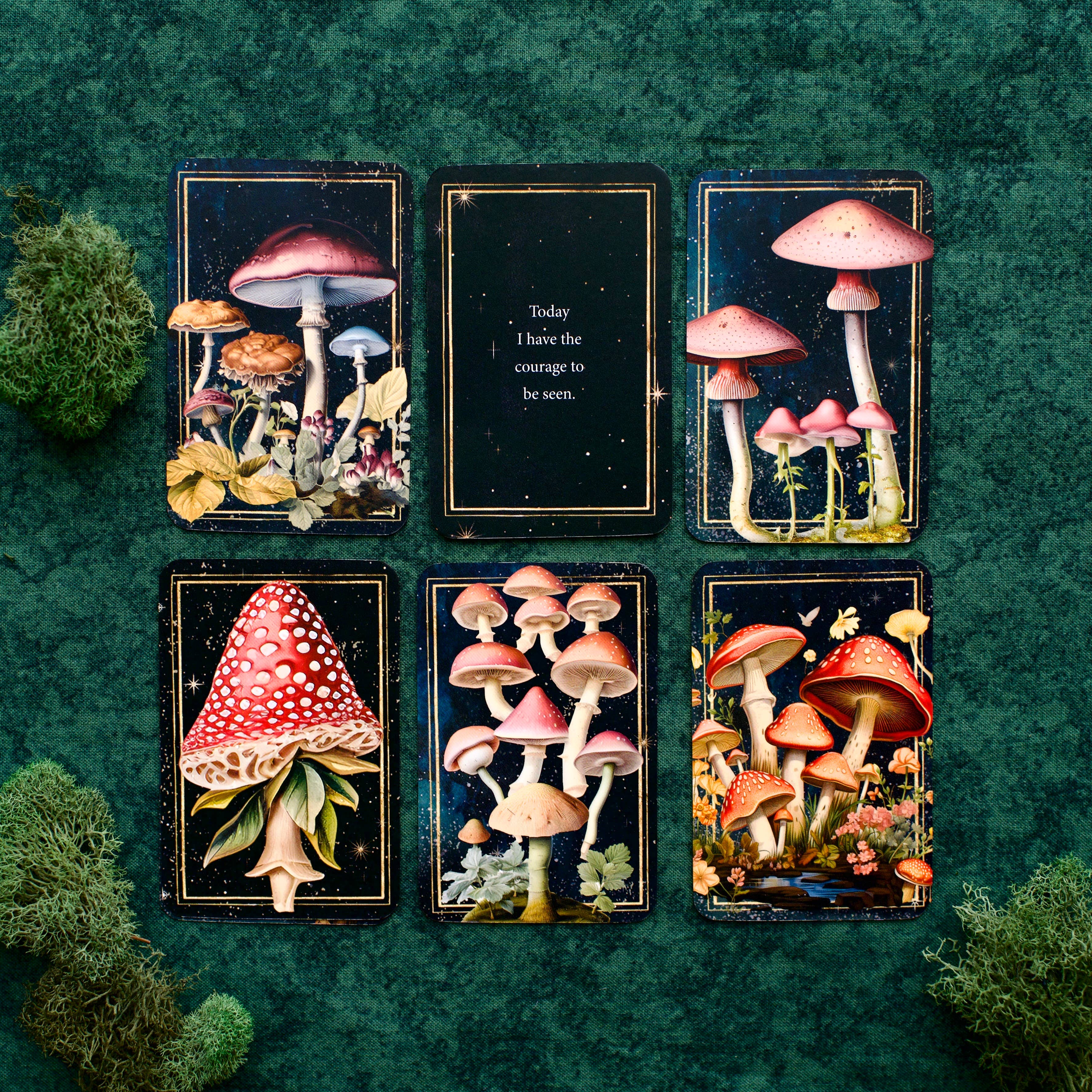 Mushrooms: Daily Doses of Wisdom (36 Gilt-Edged Mini Cards)