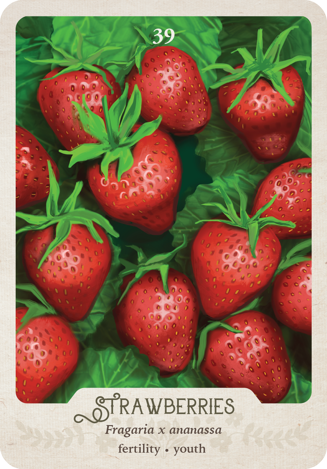 The Southern Botanic Oracle