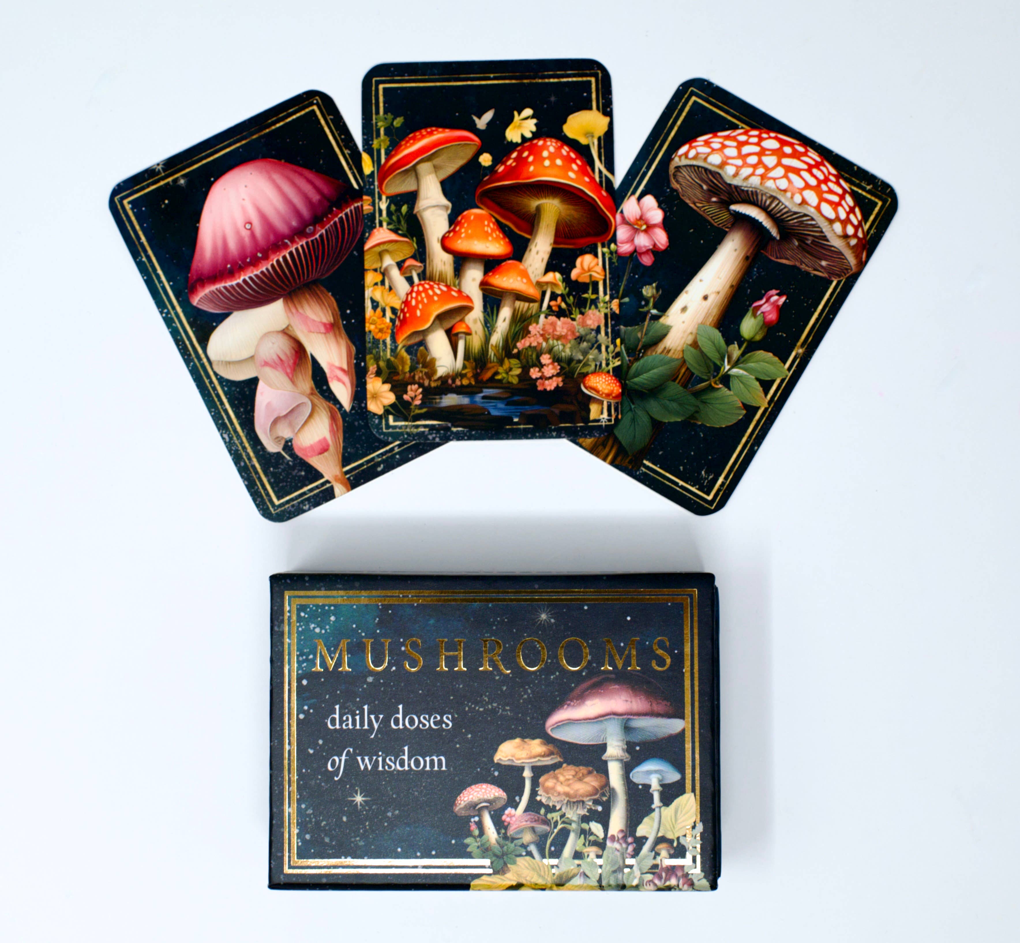Mushrooms: Daily Doses of Wisdom (36 Gilt-Edged Mini Cards)