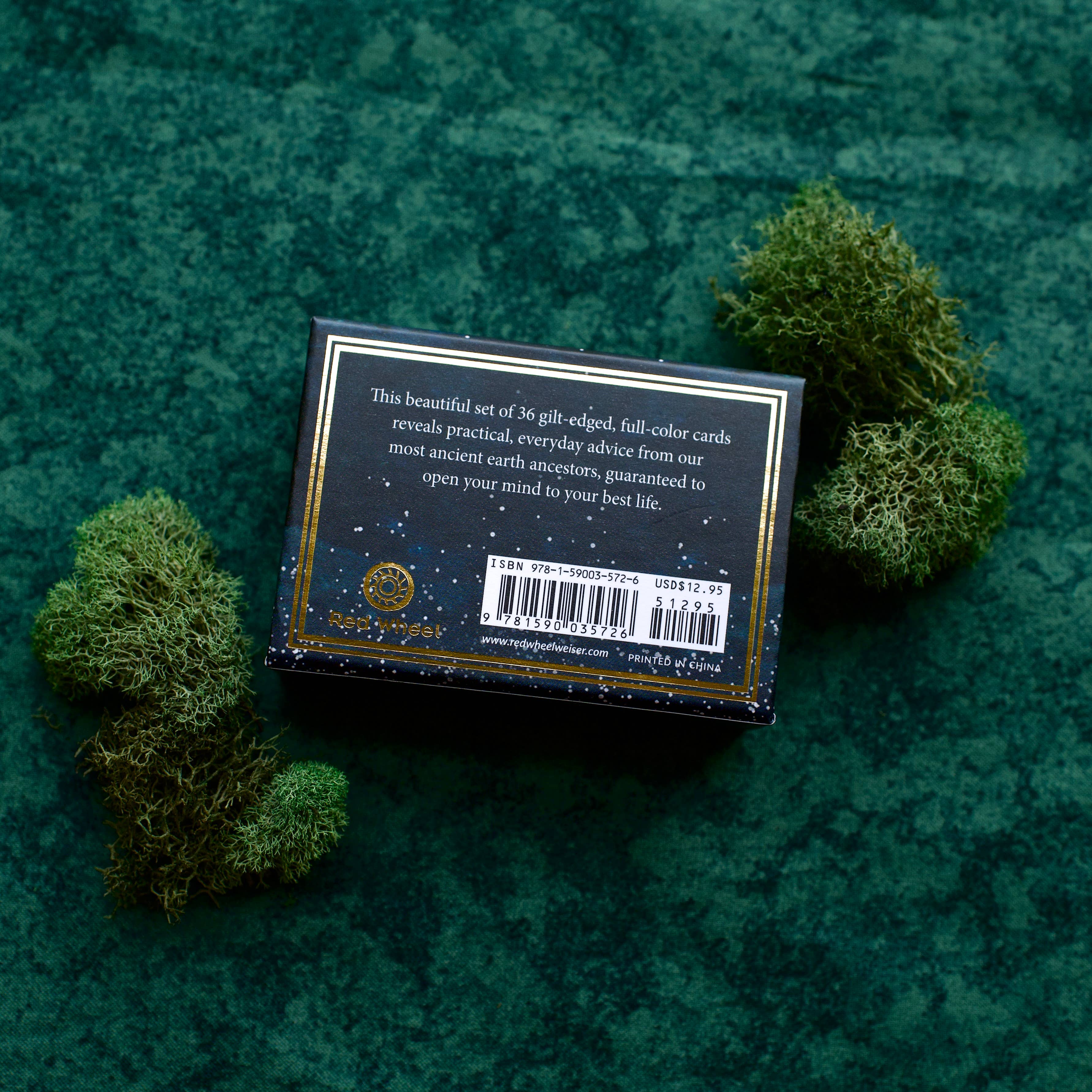 Mushrooms: Daily Doses of Wisdom (36 Gilt-Edged Mini Cards)