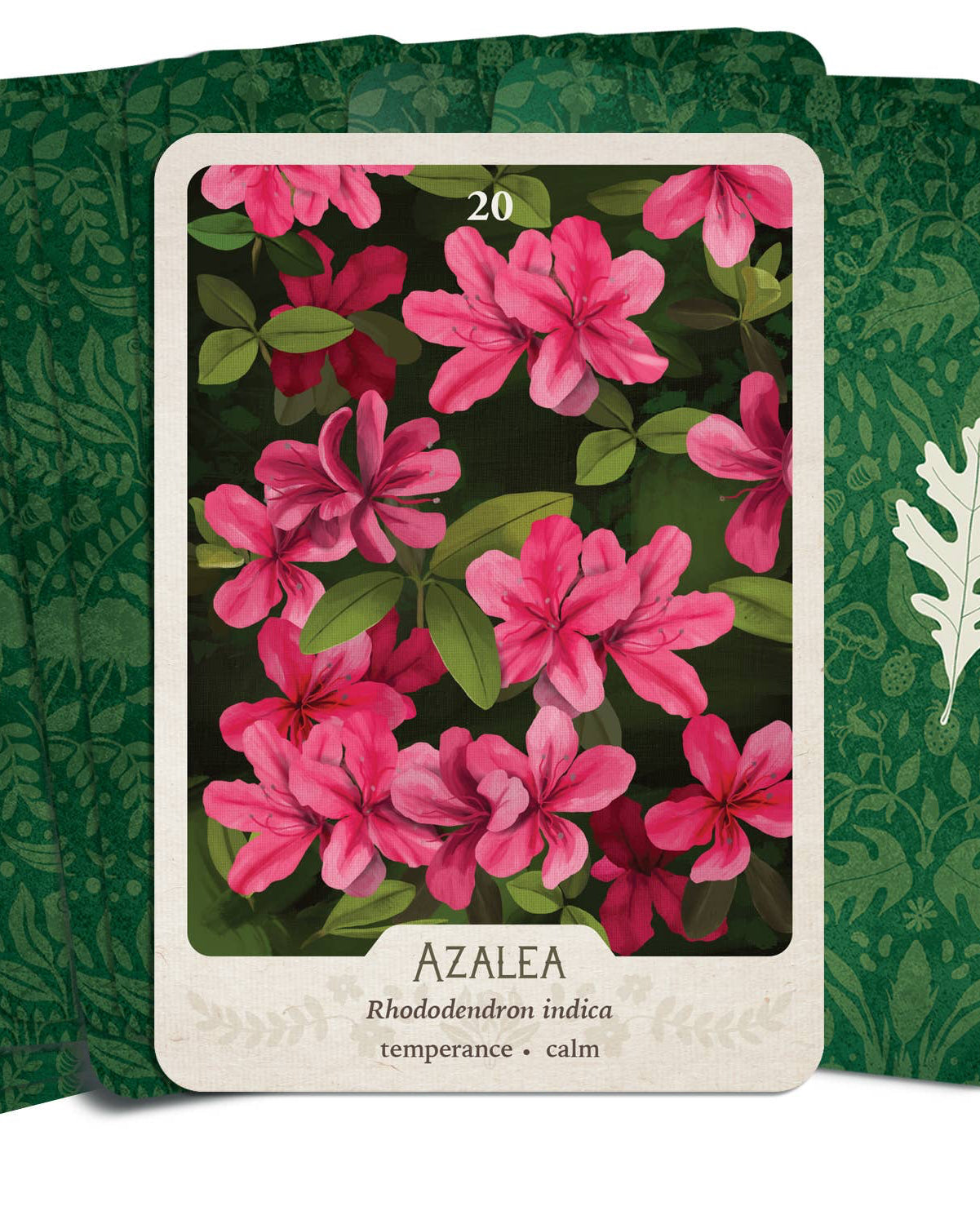 The Southern Botanic Oracle