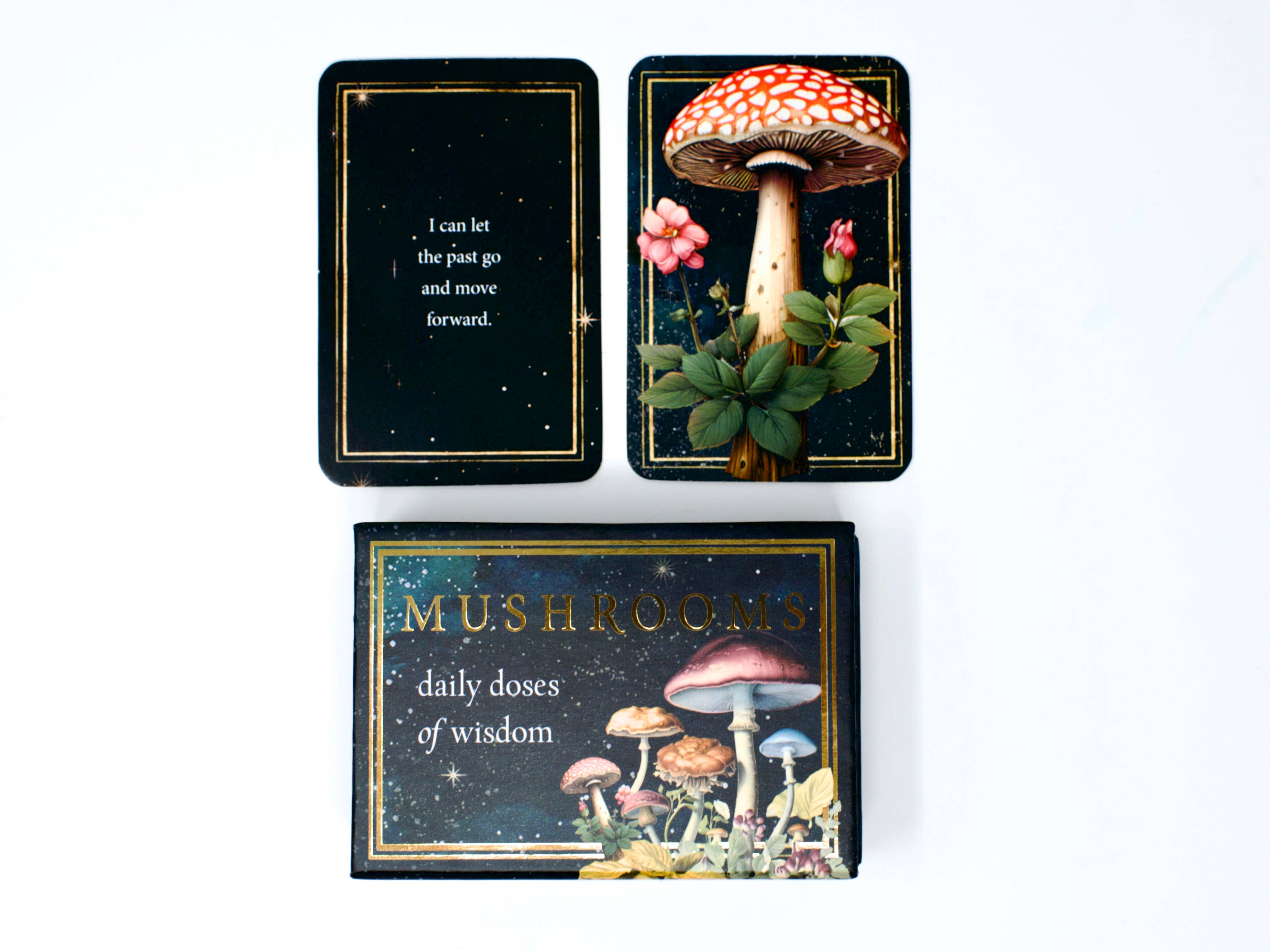 Mushrooms: Daily Doses of Wisdom (36 Gilt-Edged Mini Cards)
