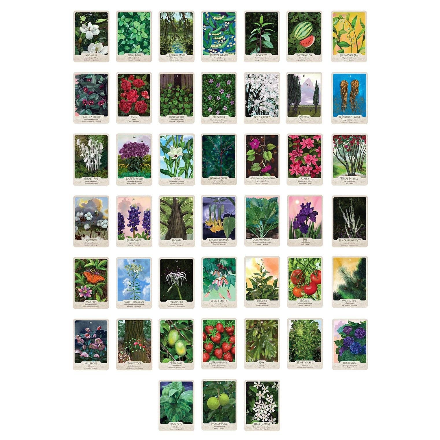 The Southern Botanic Oracle