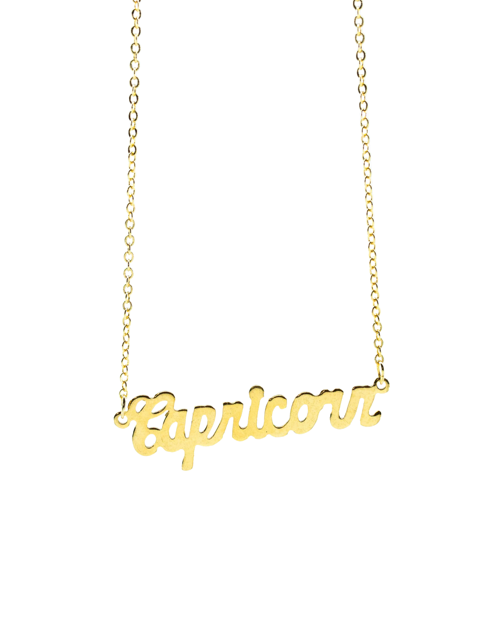 Capricorn Zodiac Nameplate Necklace